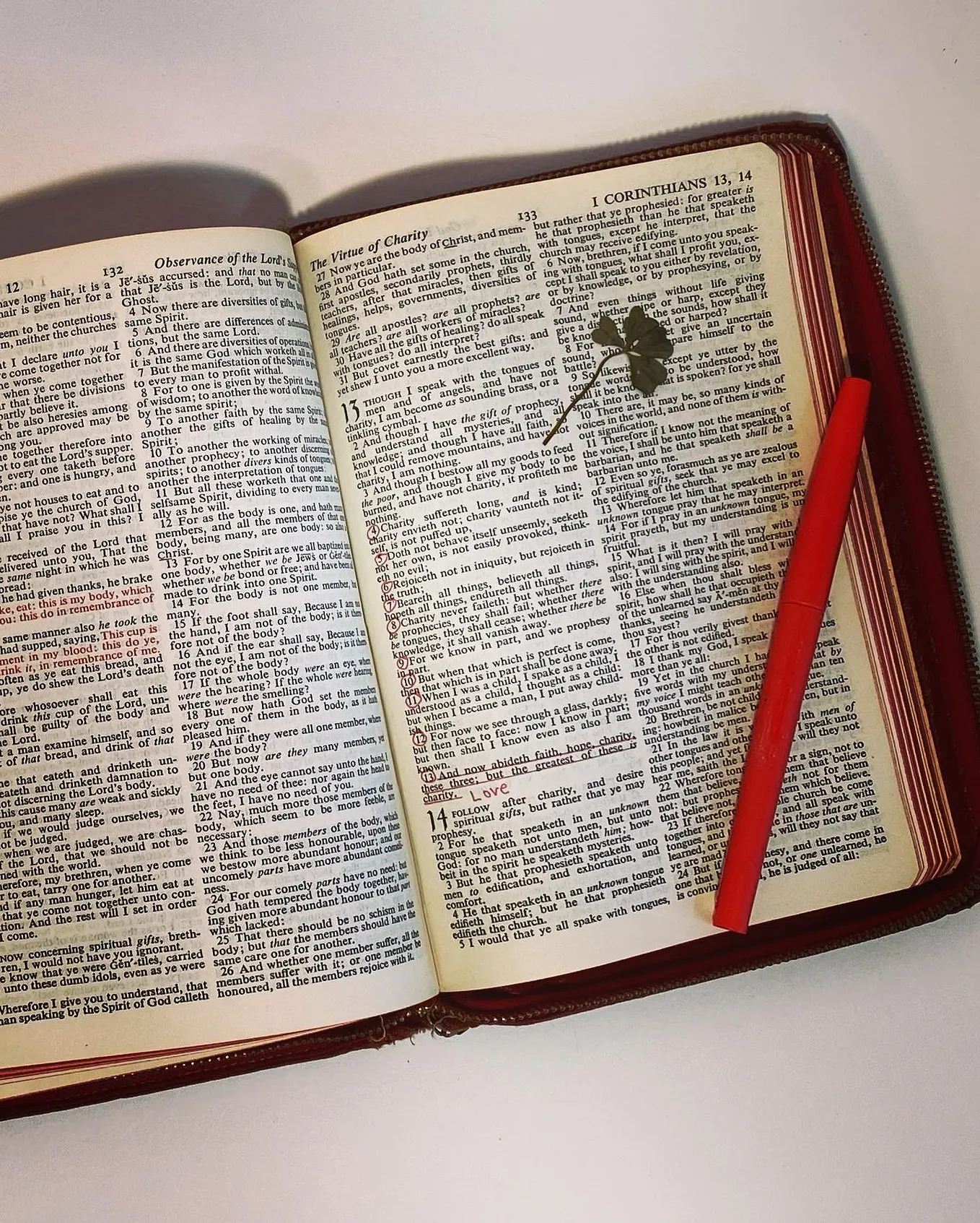 The red Bible and the red pen.