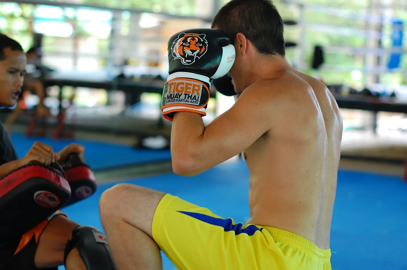 Muay Thai fighters sparring