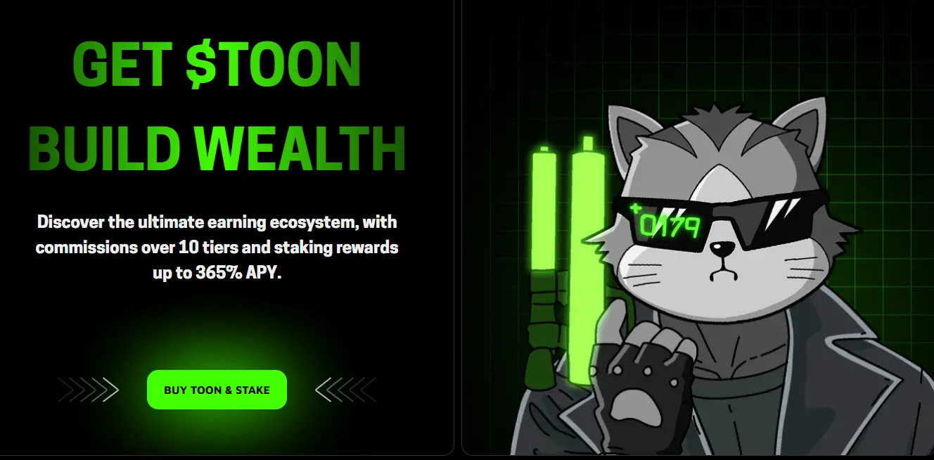 TOON: The Next Big Meme Coin on Solana?