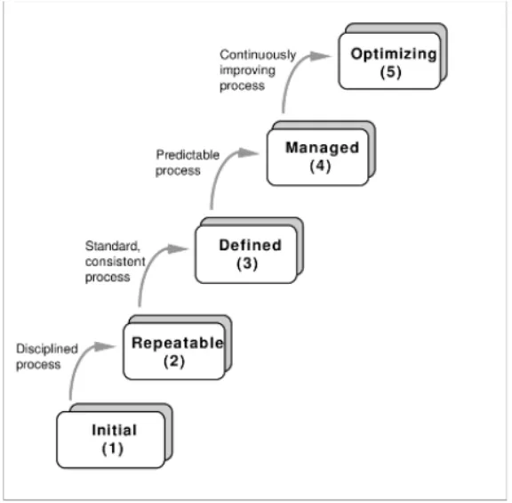 Software Process Maturity in SPPM(Software process and project management)