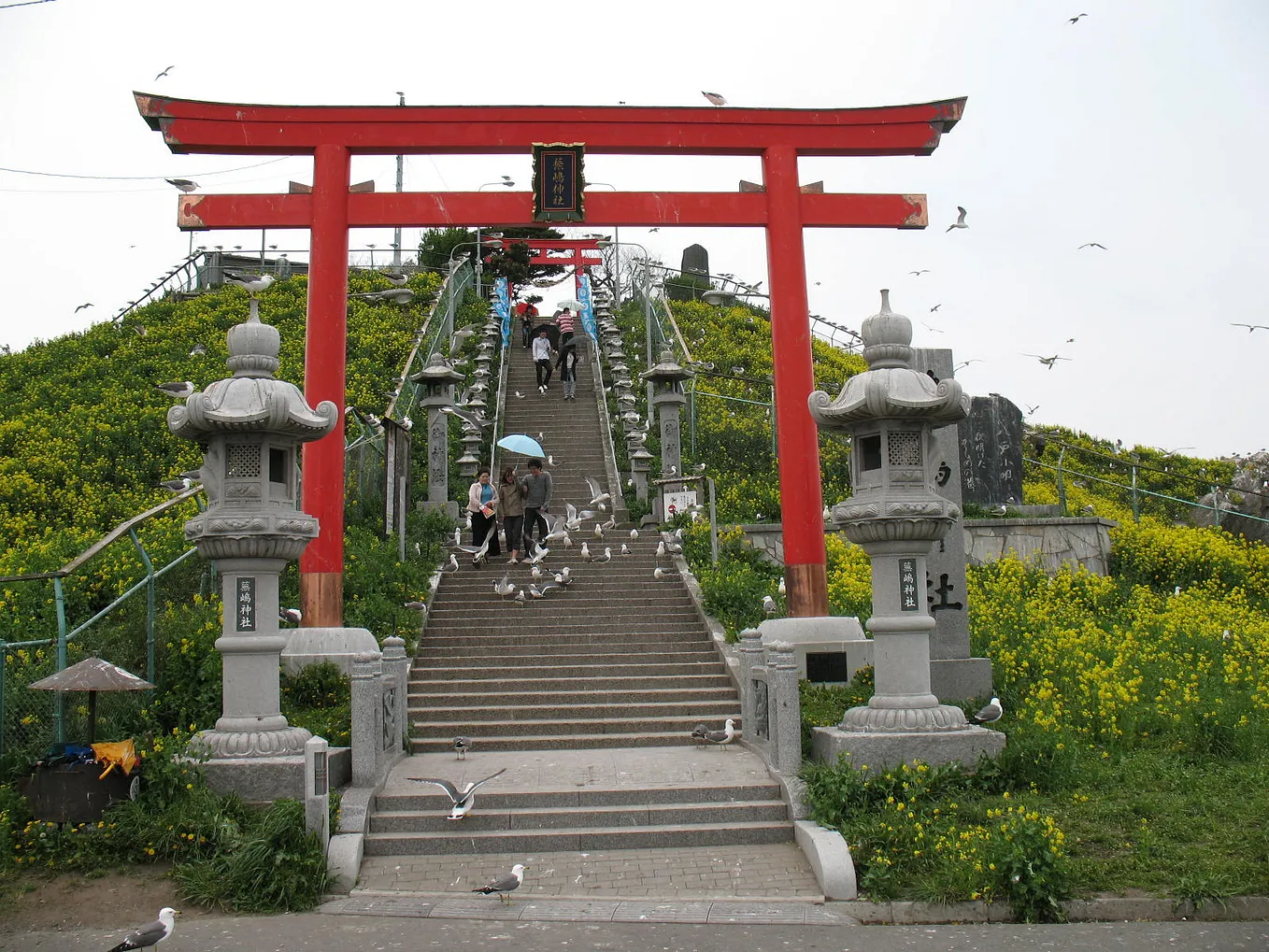 Steps leading up to a shrine at the top of the hill with surrounding gulls
