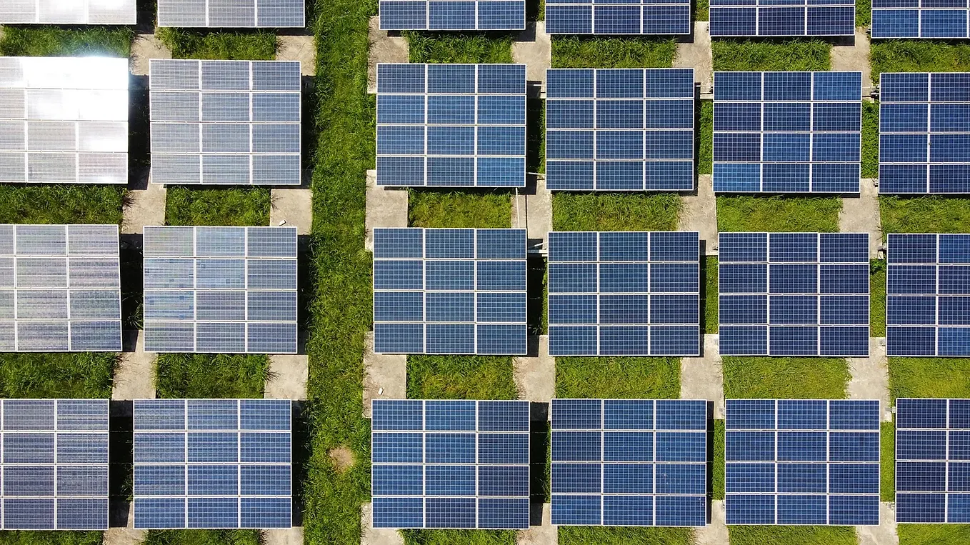 What Sustainability Trends Do We Expect to See in 2023?