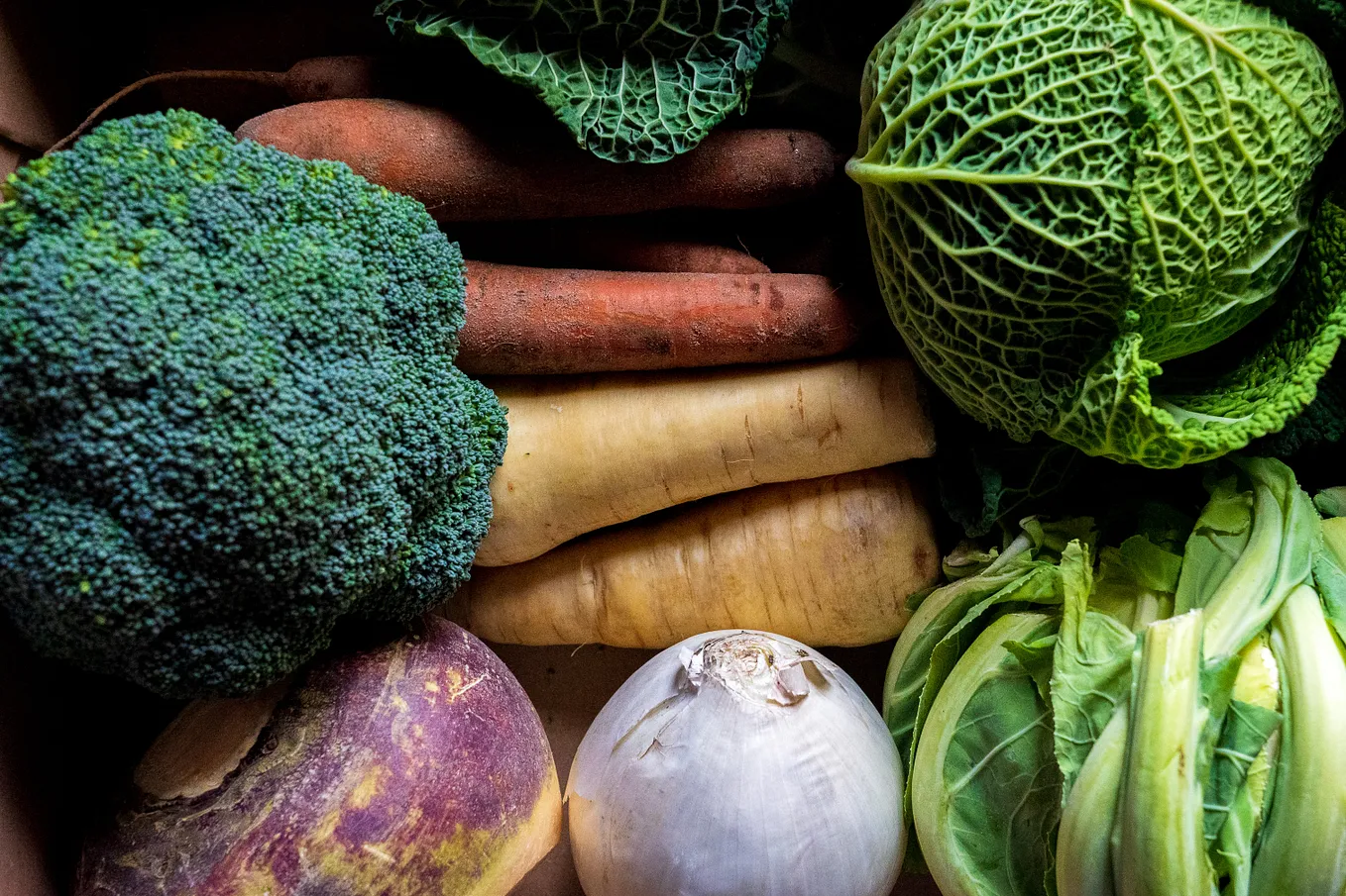 An Overview of Cancer: Definition, Symptoms & Dietary Considerations