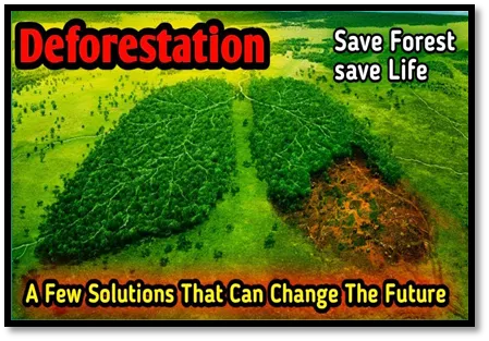 Strategies to Combat Deforestation and Save Our Planet for Future Generations