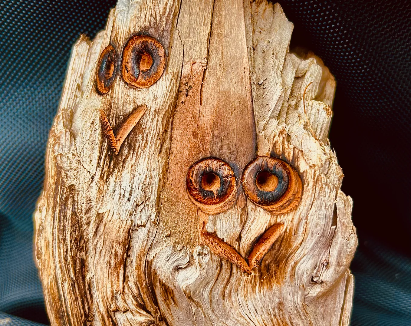 A piece of wood carved into two owl faces