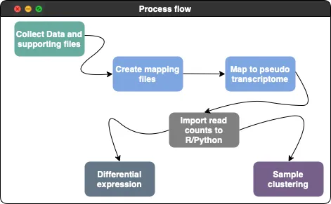 Quick transcriptomics: Expression quantification and basic concepts — Part 1