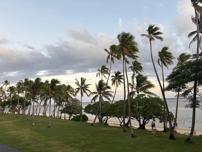 a row palm trees against a cloudy sky by a Fijian beach