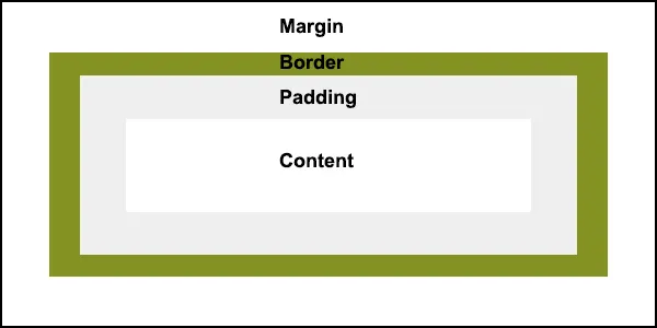 The most insightful stories about Padding - Medium