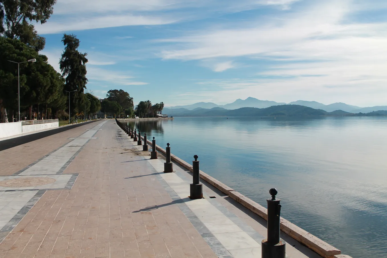 a road by the lake