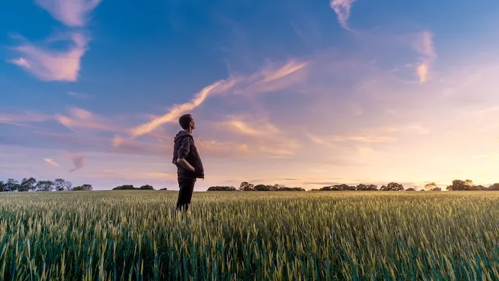 How to Walk Away From An Opportunity That Is All Wrong For You