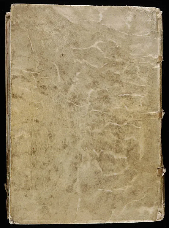 The Voynich Manuscript