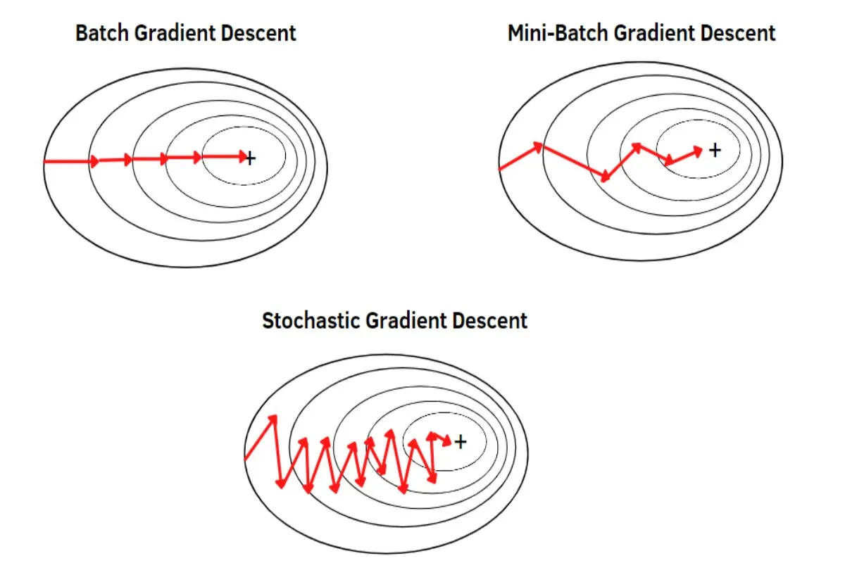 Batch Gradient Descent: A Comprehensive Guide to Multi-Dimensional ...