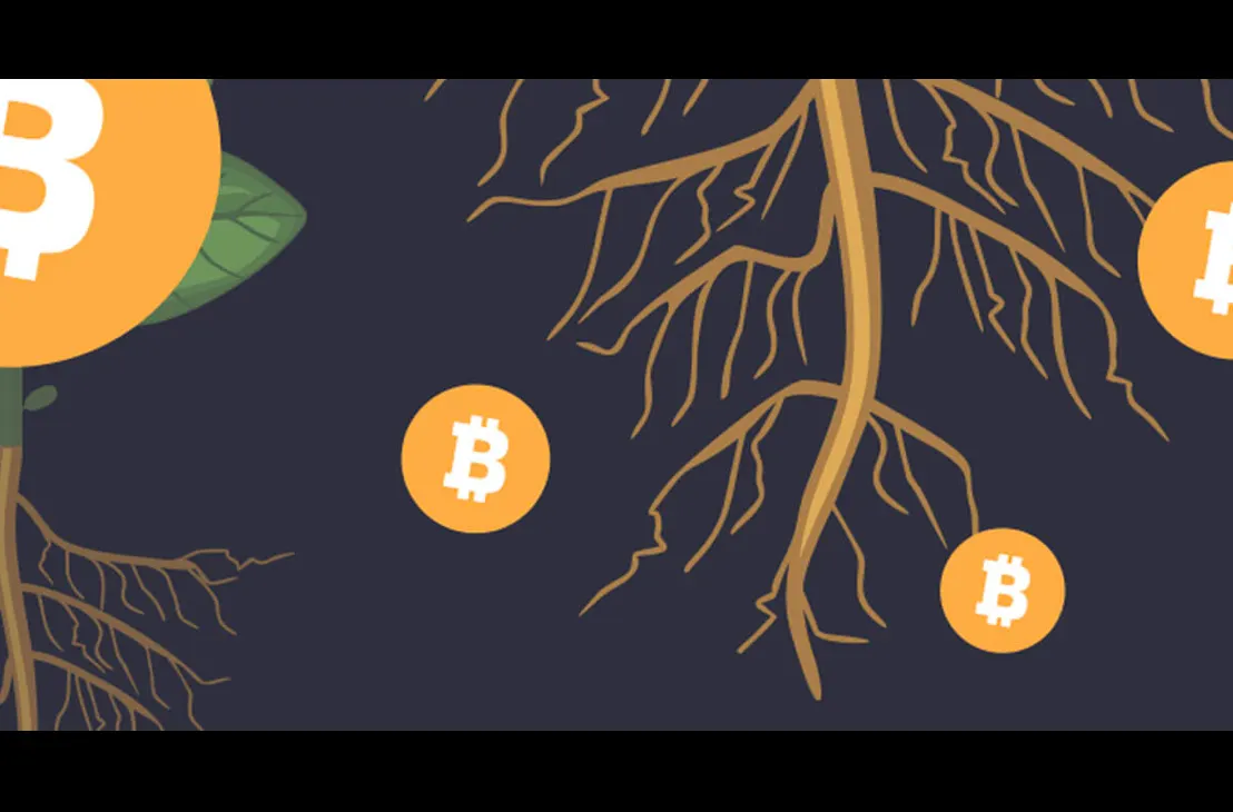 Understanding Output Script Descriptors in Bitcoin | by Jemimah Nagasha |  Medium