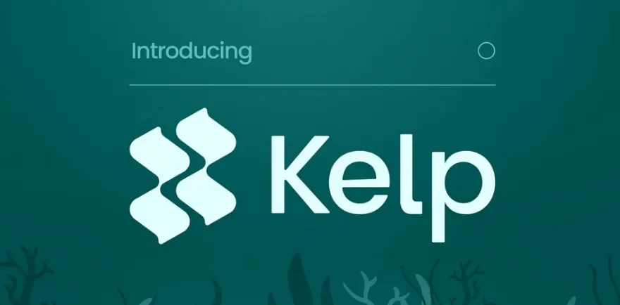 Introduction to Kelp DAO and Its Airdrop Opportunity