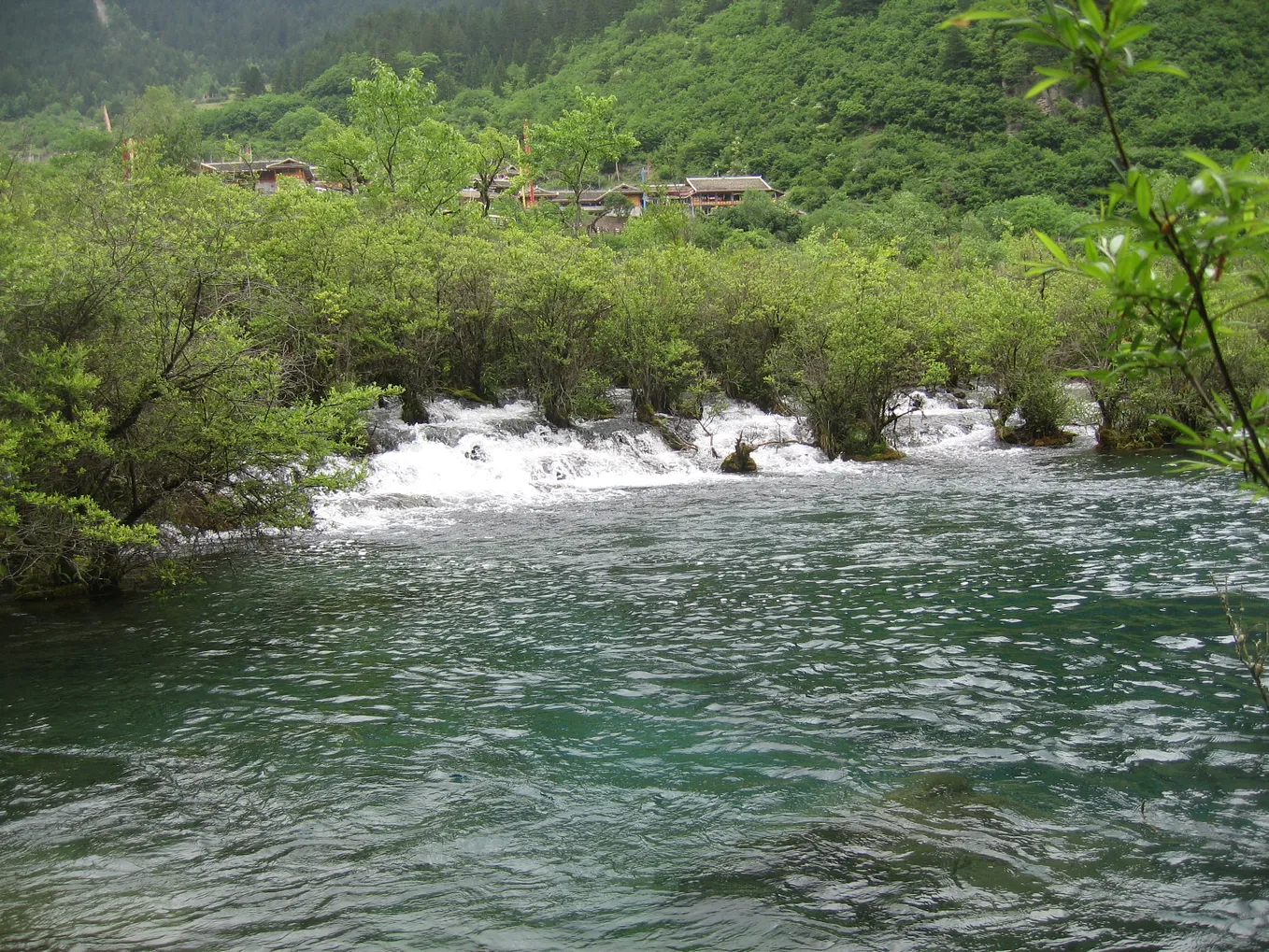 White water rapids in the center flow into a turquoise lake surrounded by thick green trees. Behind the trees in the distance, the top parts of colorful Tibetan buildings and flags peak through.