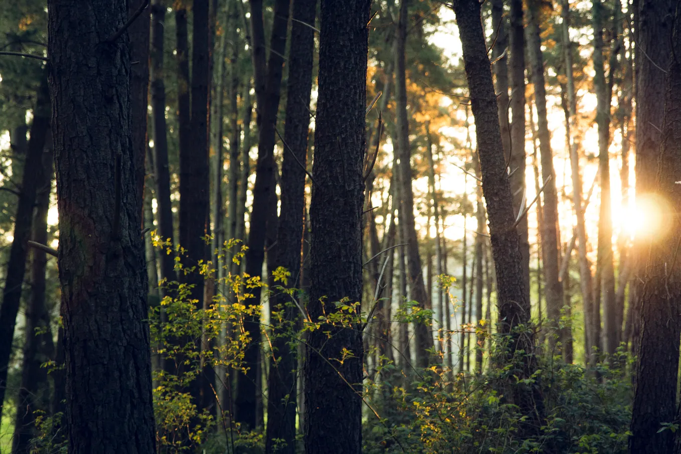 Jan Bonde Nielsen on Achieving Carbon Free Future Not an Option — It’s a Must