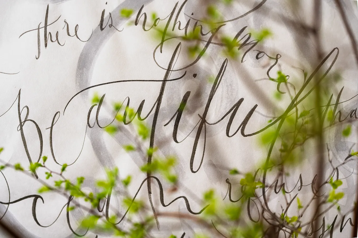 Beautiful in The Fade, Reflections, and Gifts In Between