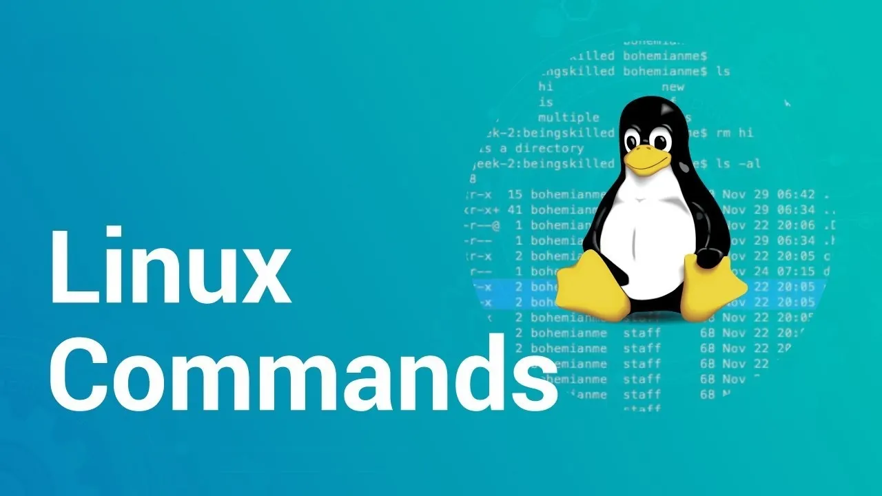 A Comprehensive Guide to Linux File Permissions: Read, Write, Execute ...