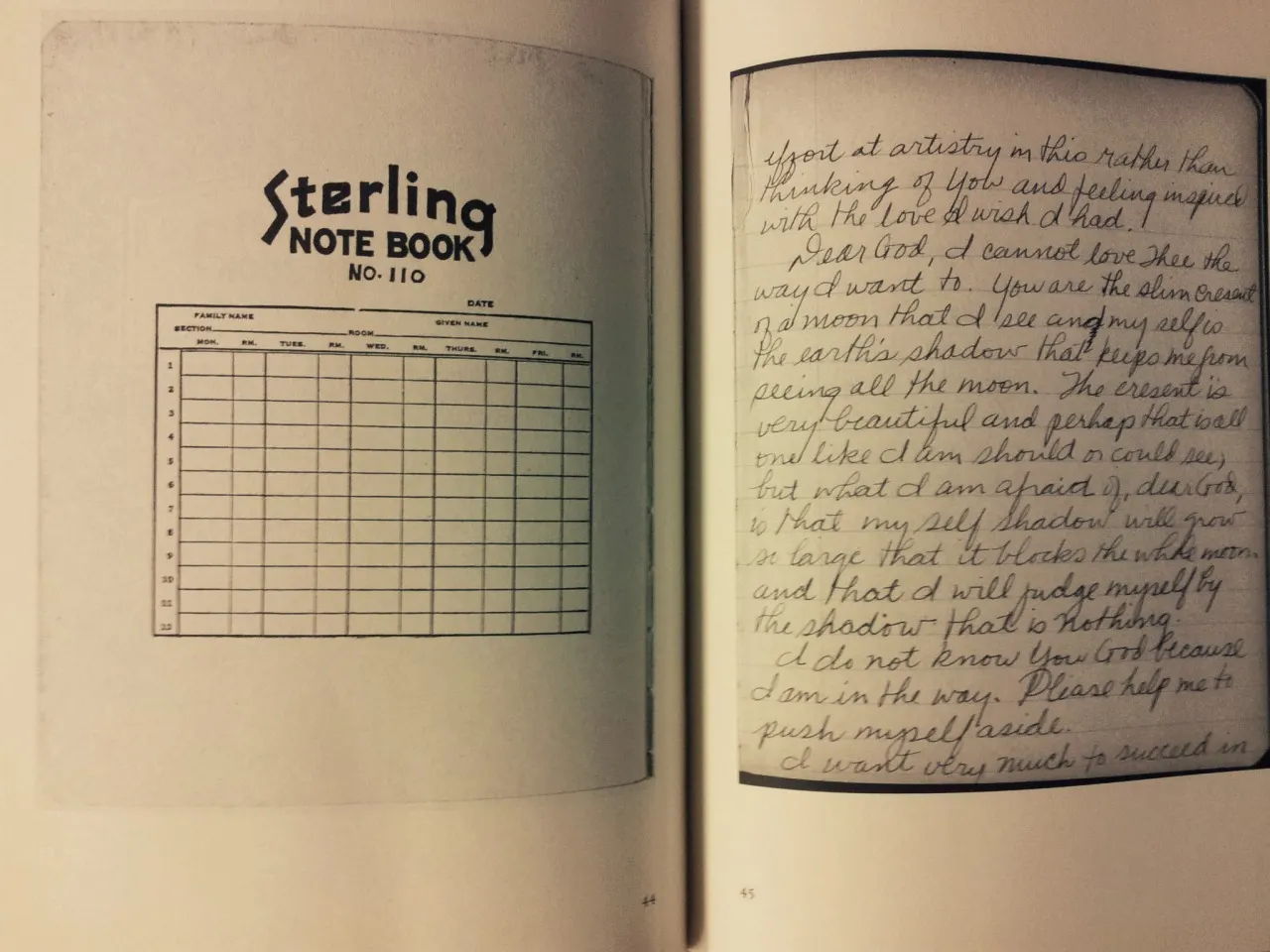 Stalking Joy. Flannery O’Connor through the Eyes of a Friend and a Scholar.
