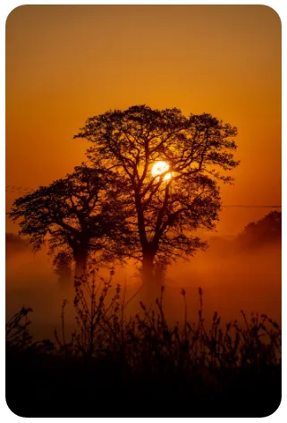 Traditions: Why is morning the best time for worship?