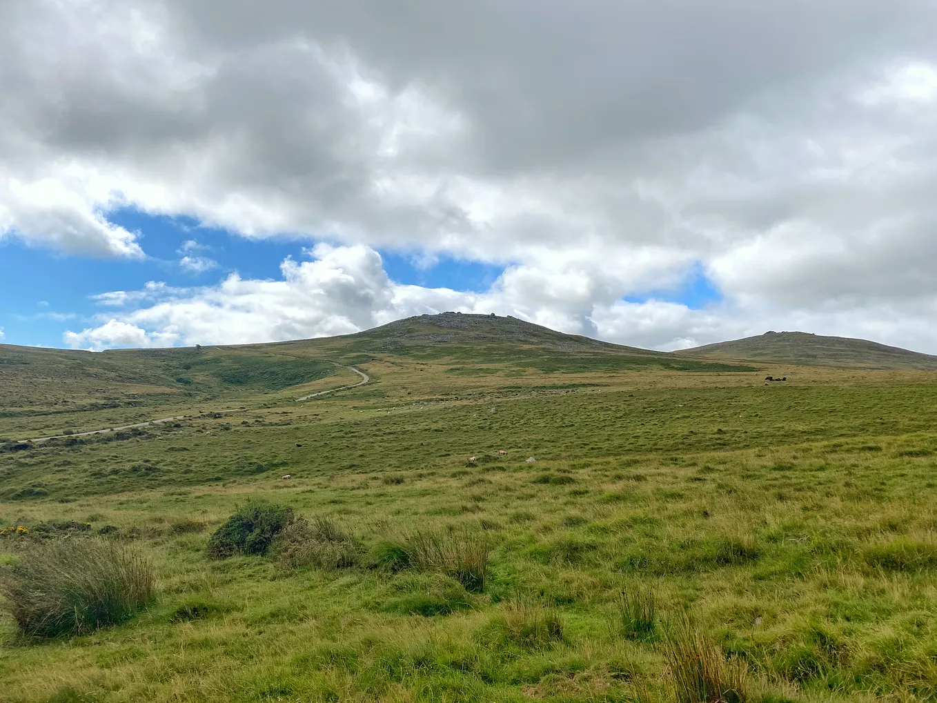The Dartmoor 130 Loop