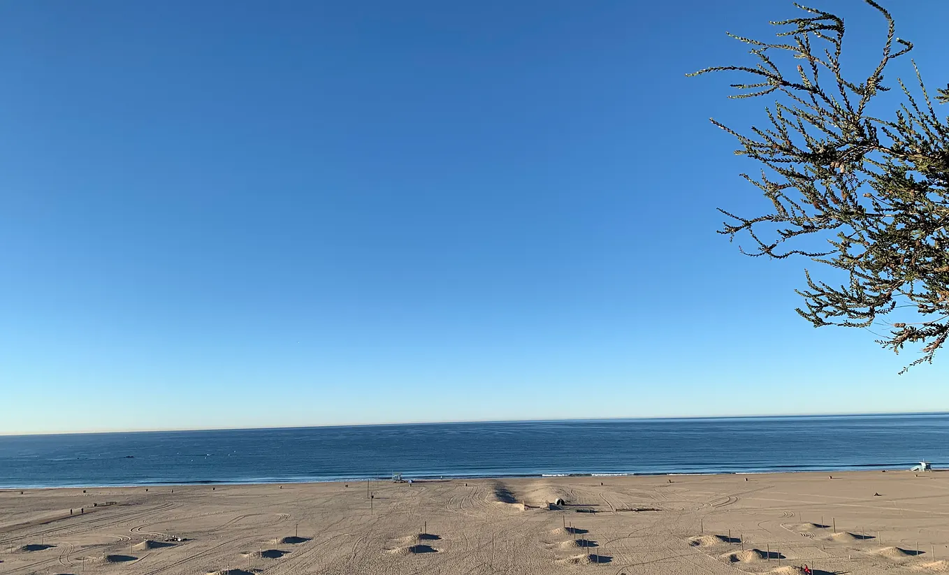 Visual Meditation Script 1: The Tree | by Cindy Barnes | Üna-lign | Medium