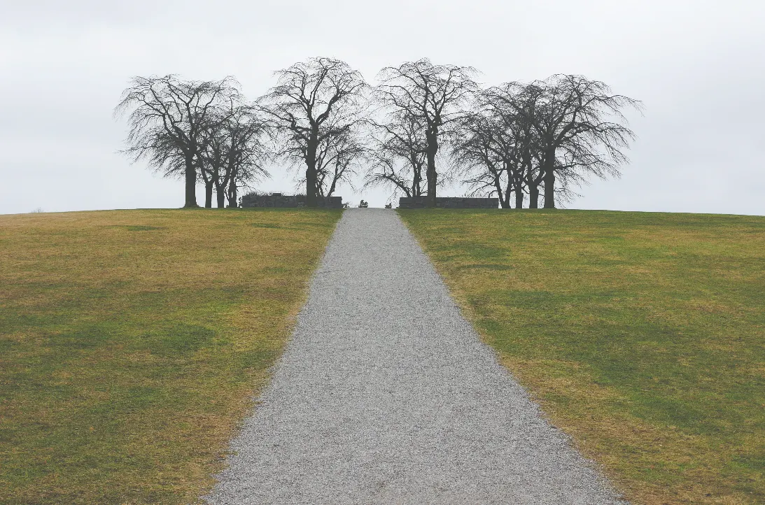Alignment: How to Curate Your Dream Life