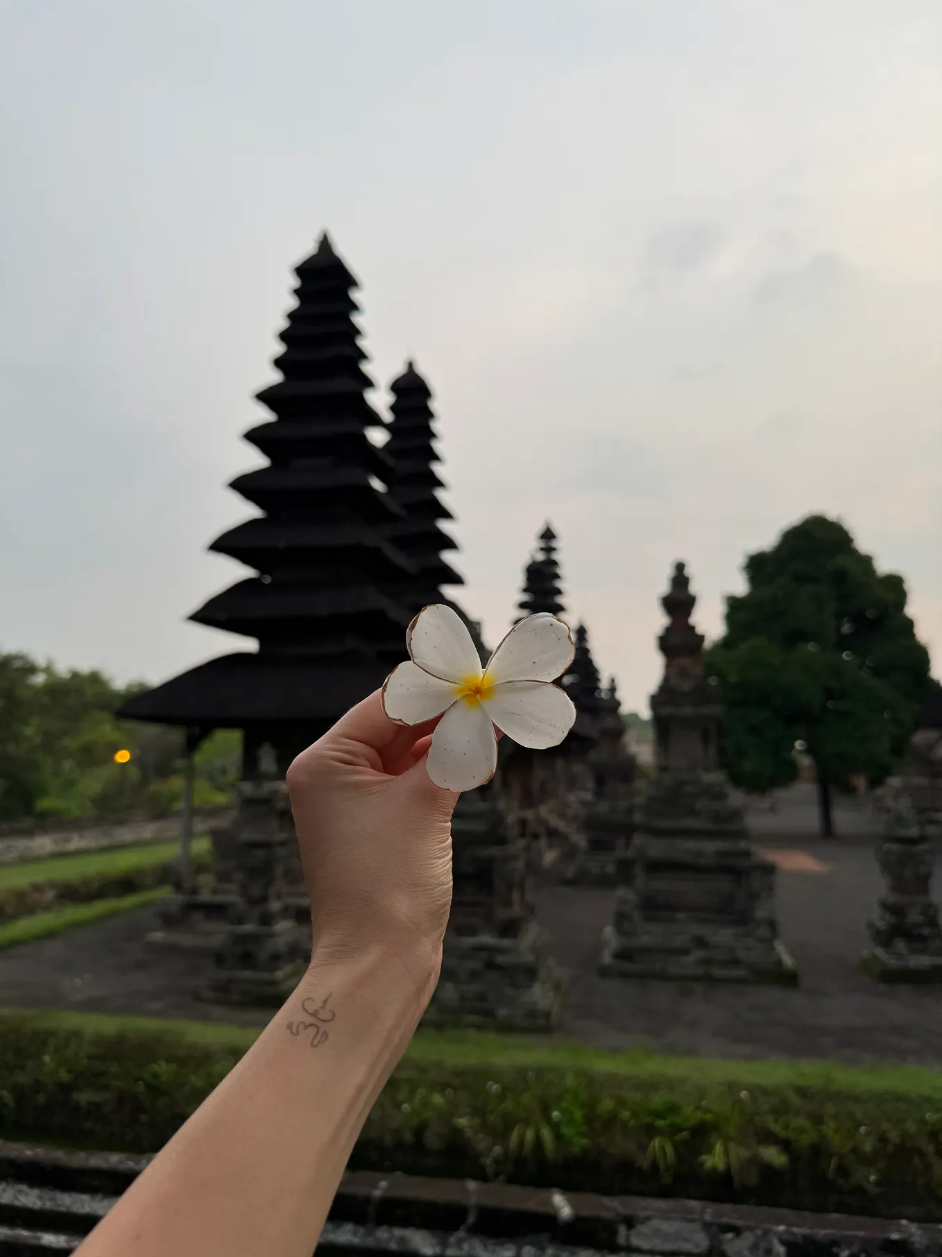why-did-buddha-leave-his-palace-what-makes-buddha-s-path-so-timeless