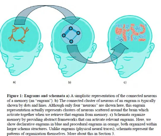 The Memory Paradox in the Age of AI: Why Internal Knowledge Still Matters