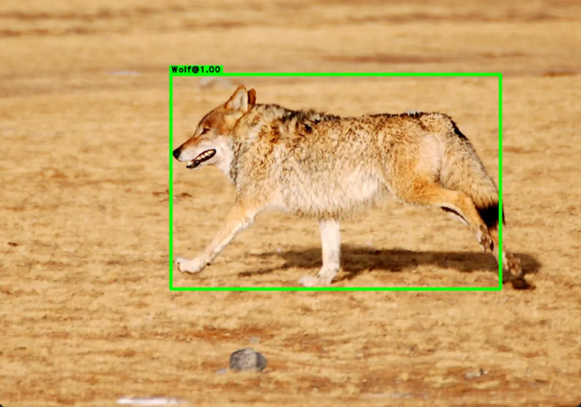 Image Segmentation Using Deep Learning: A Survey | by Er Nupur | The ...