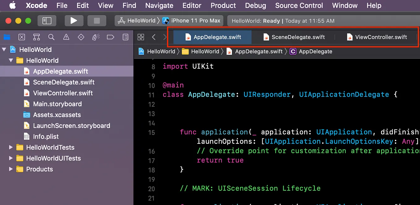 Xcode 12 解決 Command PhaseScriptExecution failed with a nonzero exit ...