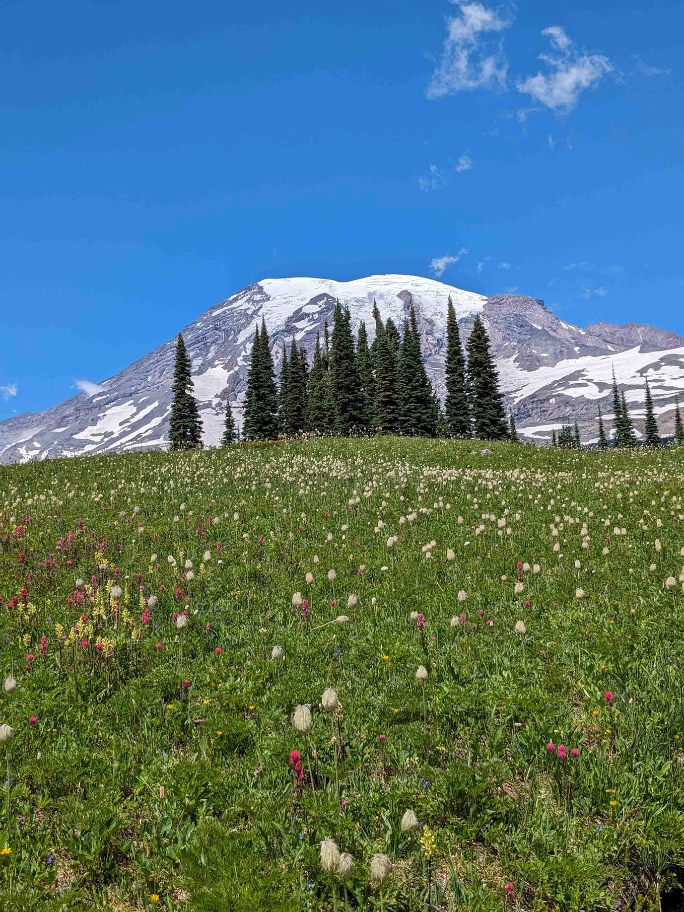 Mt. Rainier: A Refreshing Getaway