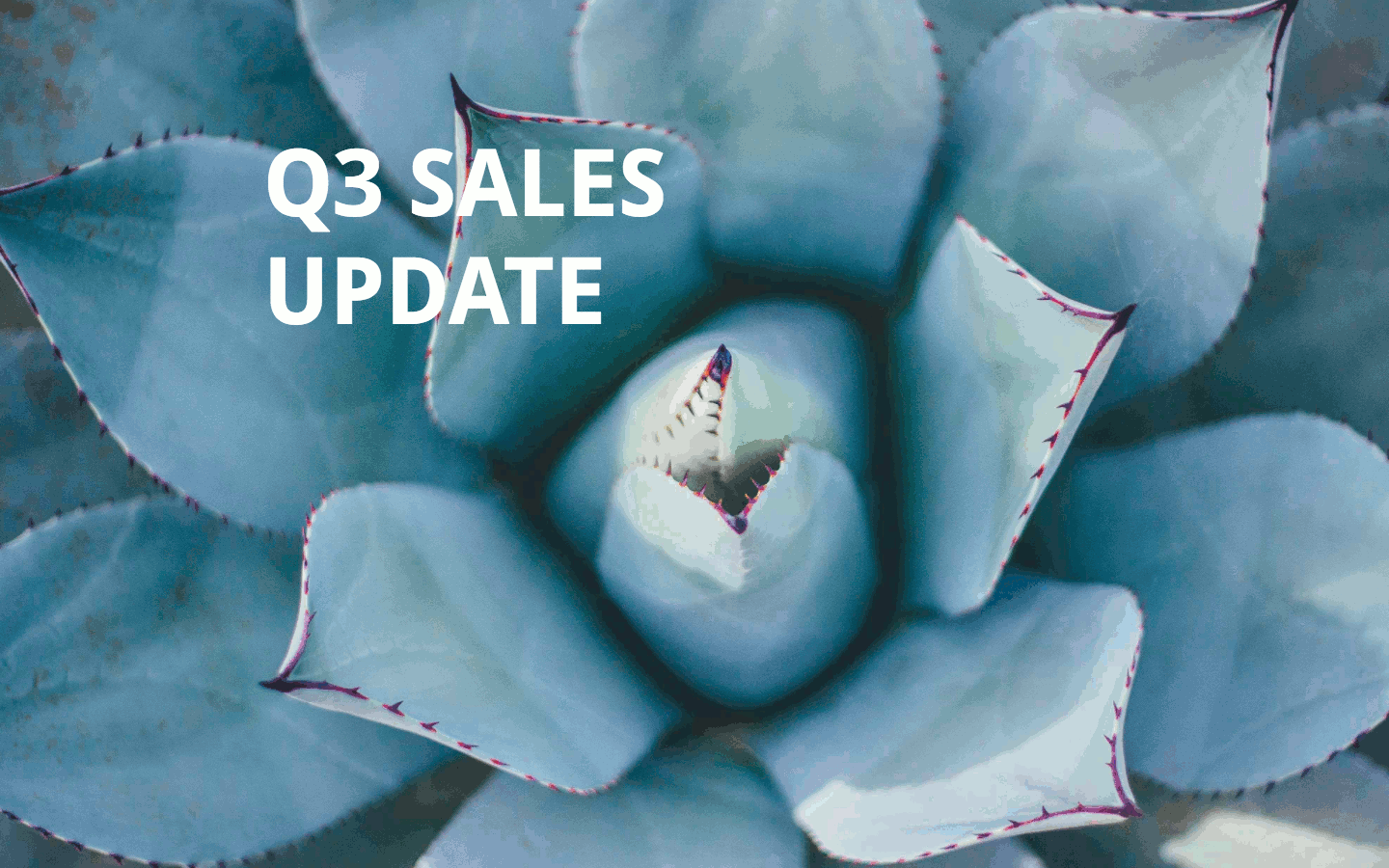 How to create a beautiful, interactive dashboard layout in Python with ...