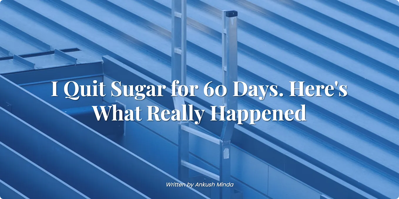 Learn How to Create and Activate a Python Virtual Environment (venv ...