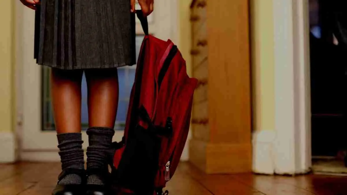 DBE Refutes Claims That School Nutrition Tender Was Published In Secret