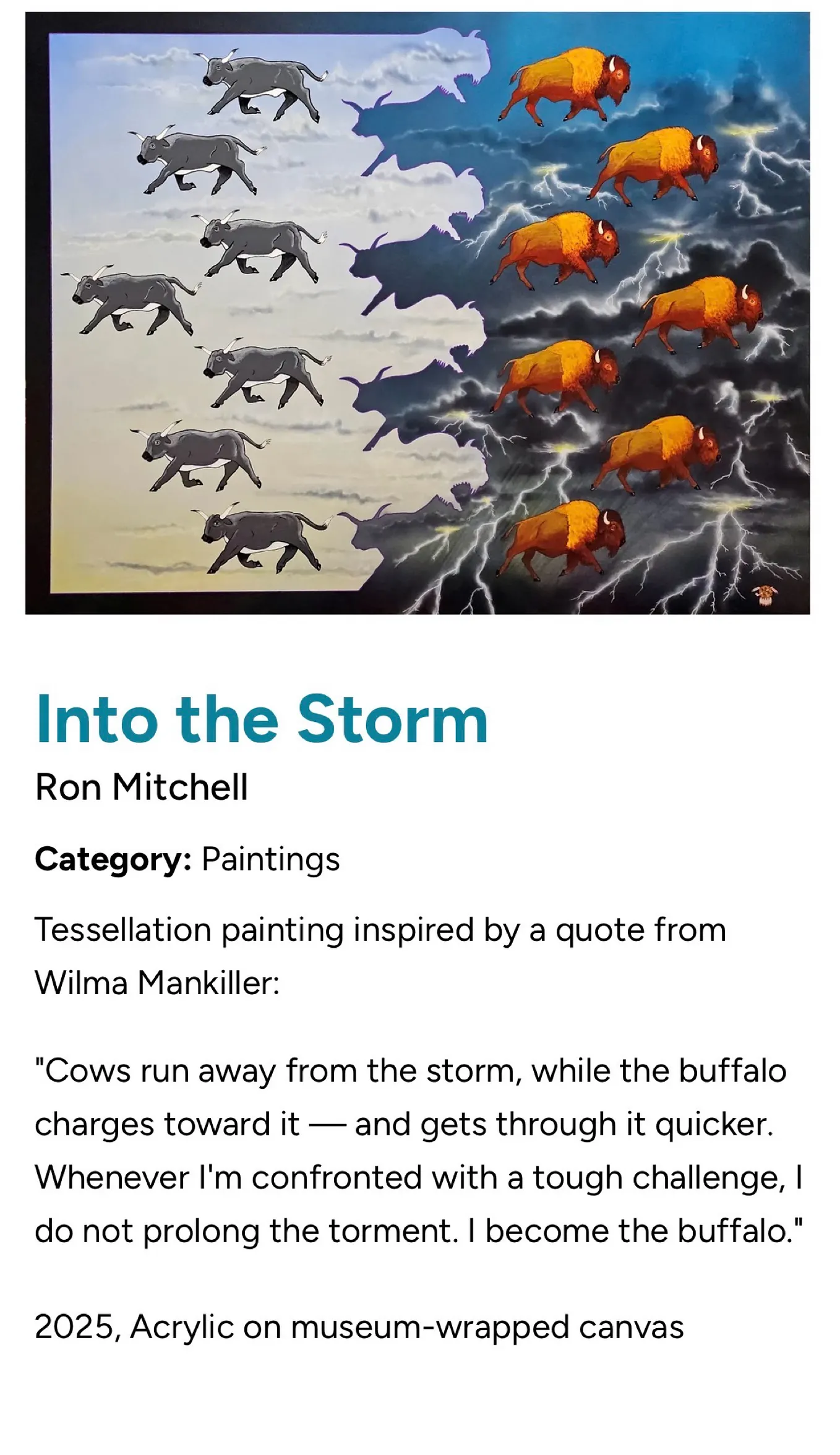 Becoming the Buffalo: Facing Life’s Storms Head-On