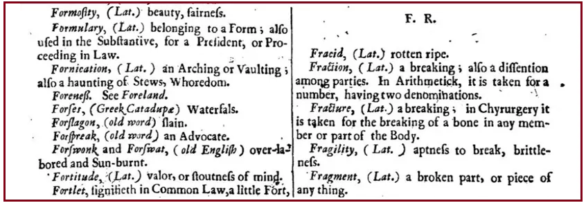 English borrowings : 10 of the best