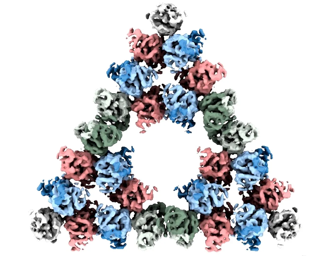 Researchers Discover a Fractal Protein