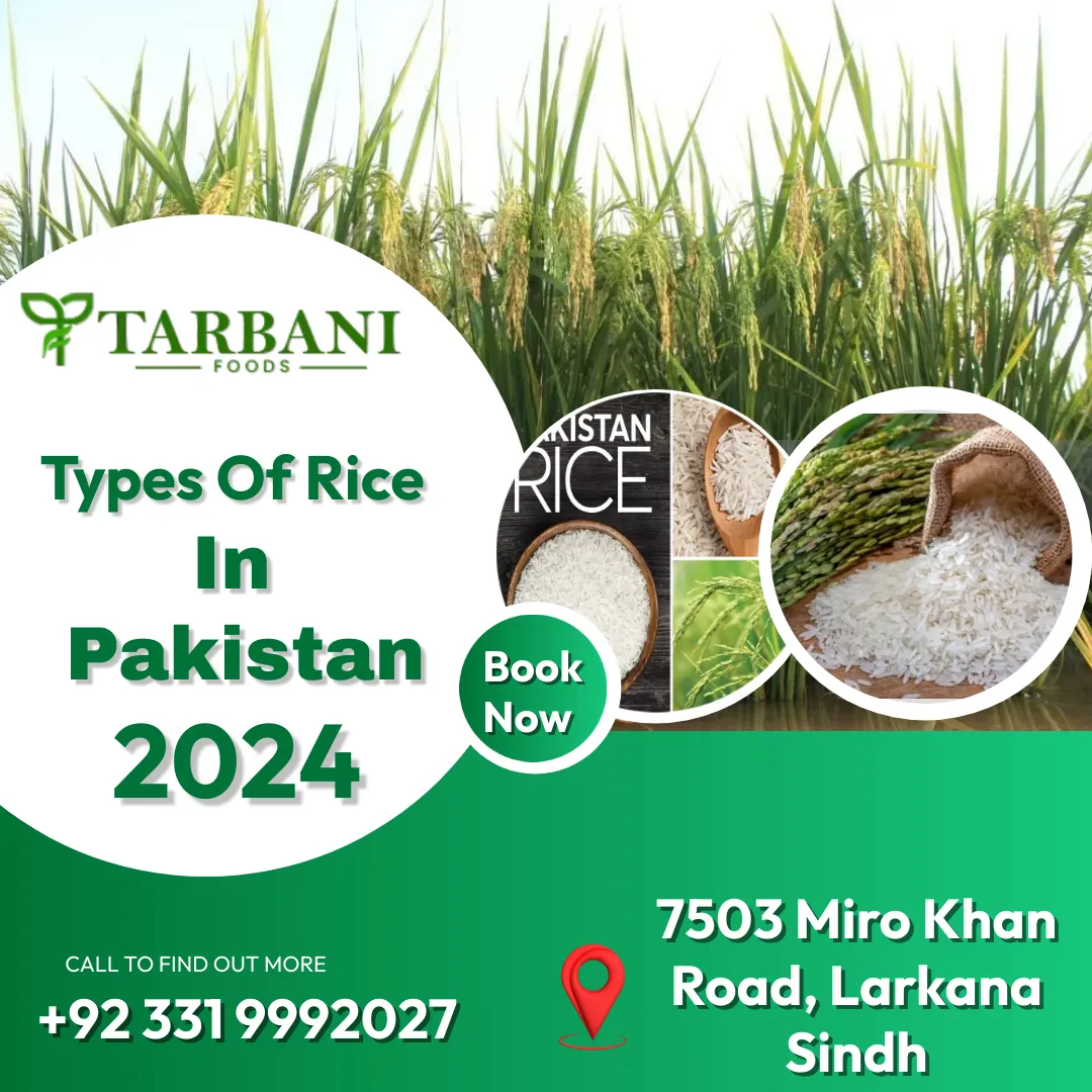 types-of-rice-in-pakistan