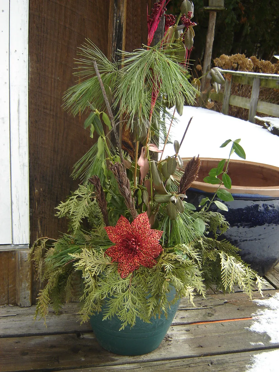 A winter garden container with a red poinsettia.