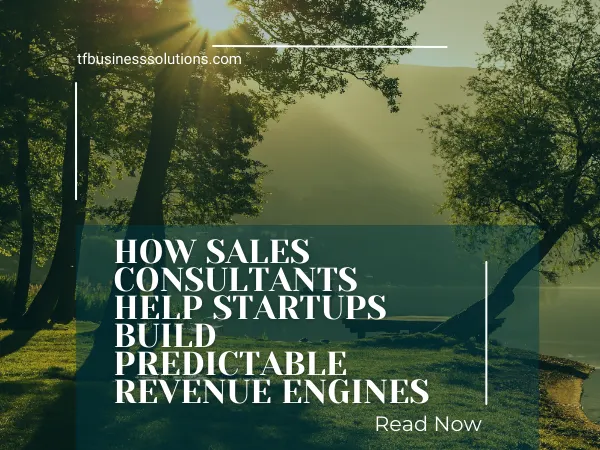 How Sales Consultants Help Startups Build Predictable Revenue Engines