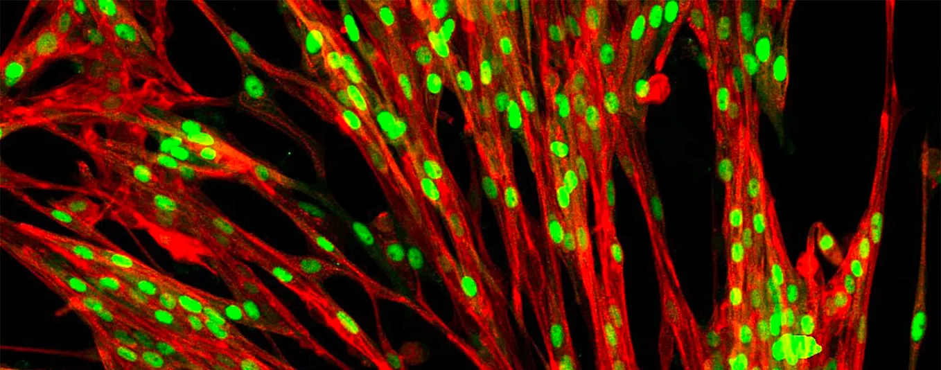 Introducing bit bio — coding cells, the building blocks of life
