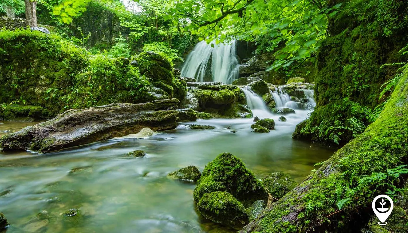 The Rise of Nature Rights