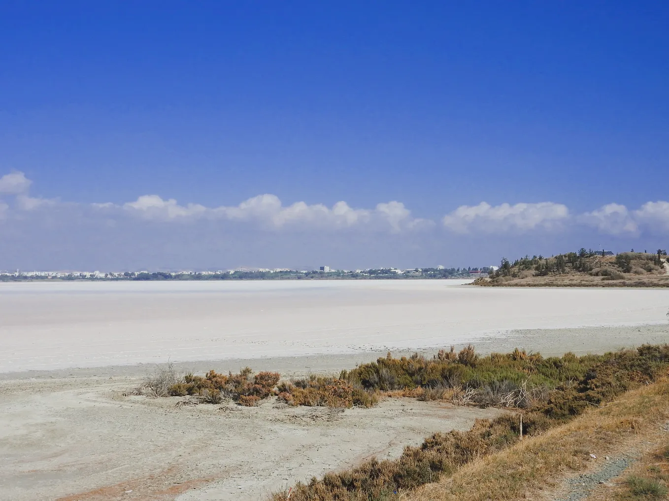 Larnaca Salt Lake