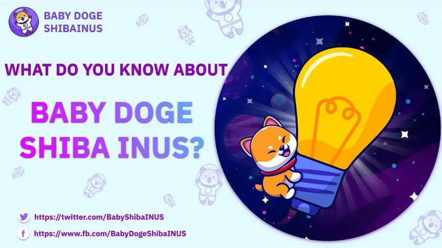 Introduction to Baby Doge Shiba INUS