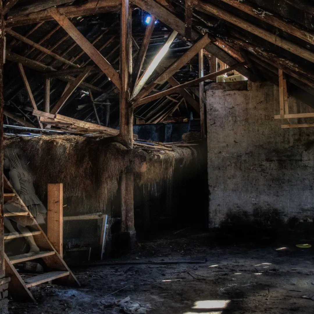 Interior of an old farm shed