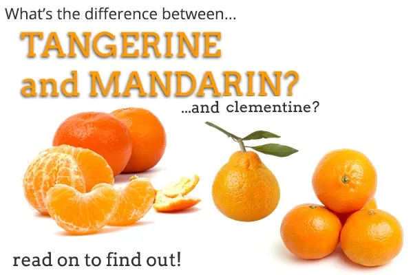 THE DIFFERENCE BETWEEN MANDARINS, TANGERINES & CLEMENTINES