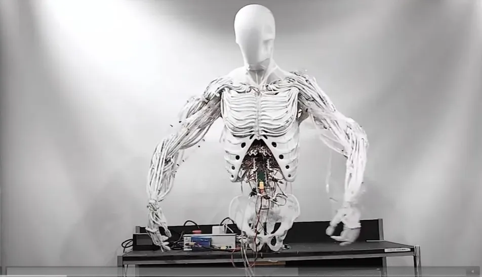 Exchanging Body Parts with Robots: The Future of Humanoid Integration