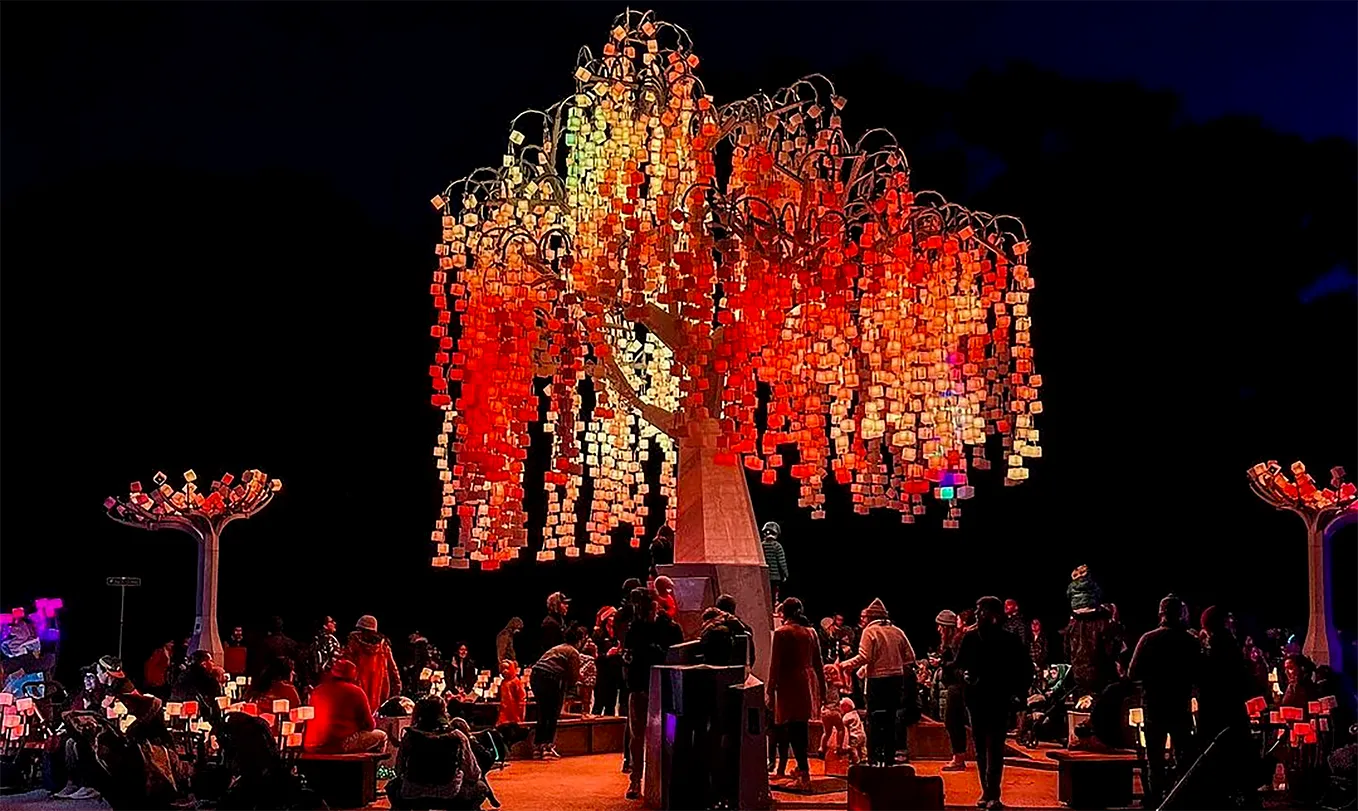 “Entwined” gives San Franciscans all we want for Christmas: More lights