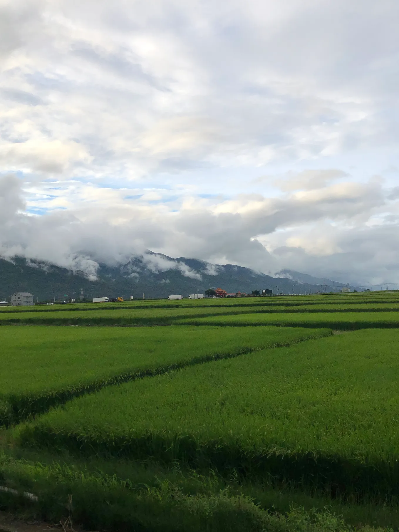 Chishang: A Hidden Gem of Taiwan’s East Coast